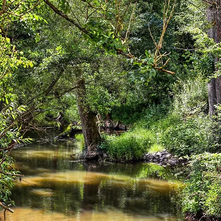 Kaisermantel * Irrhausen