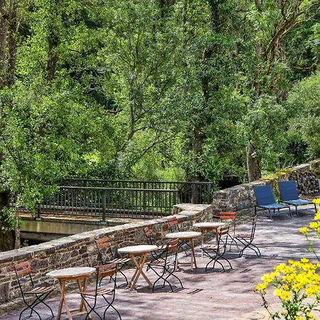 Kaisermantel Irrhausen