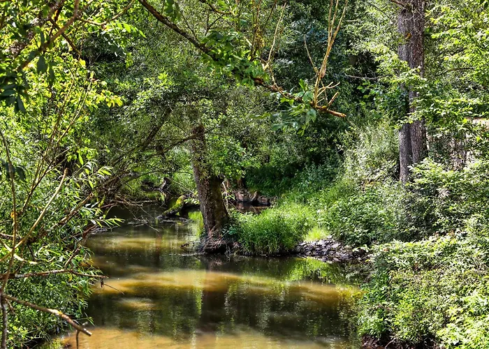 Kaisermantel * Irrhausen