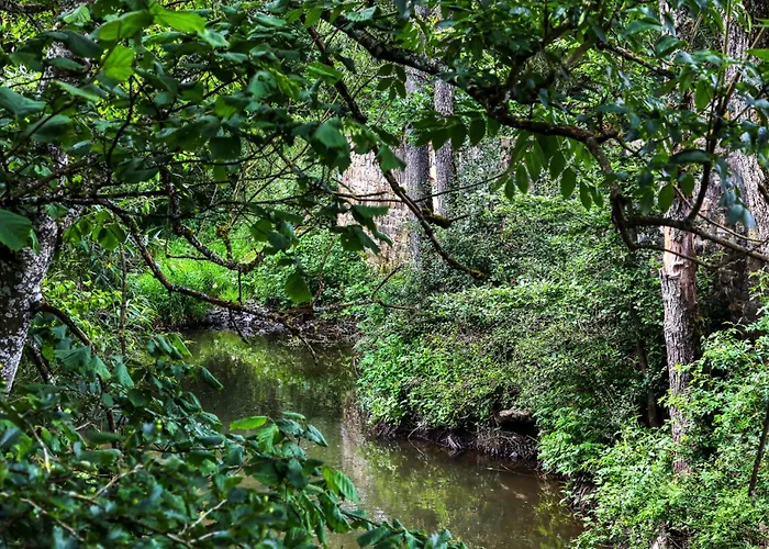 Kaisermantel Lejlighed *